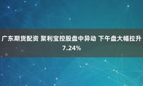 广东期货配资 聚利宝控股盘中异动 下午盘大幅拉升7.24%