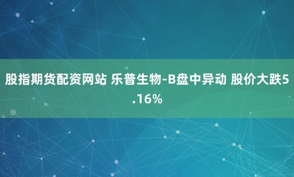股指期货配资网站 乐普生物-B盘中异动 股价大跌5.16%