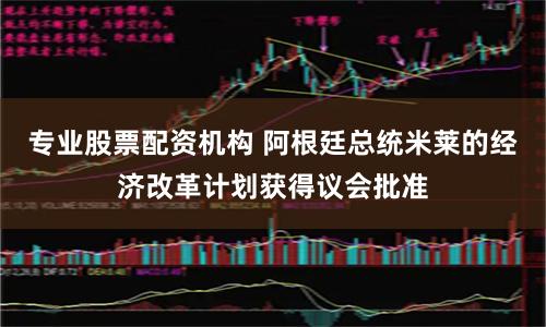 专业股票配资机构 阿根廷总统米莱的经济改革计划获得议会批准