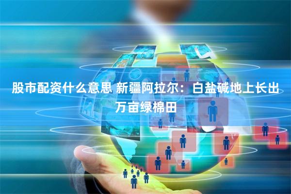 股市配资什么意思 新疆阿拉尔：白盐碱地上长出万亩绿棉田