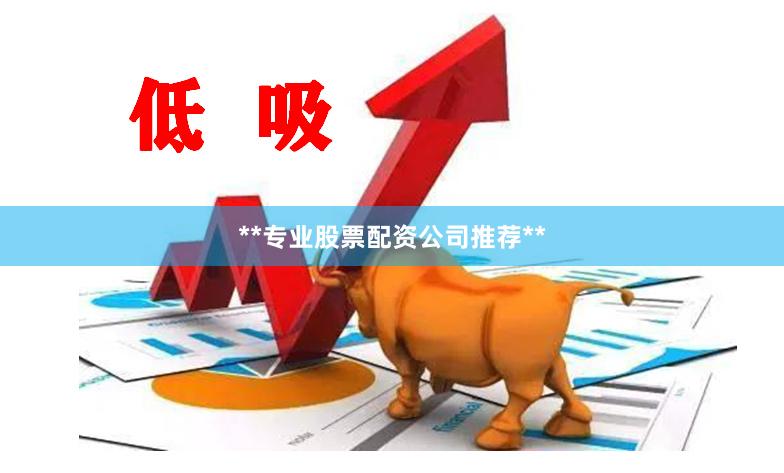**专业股票配资公司推荐**