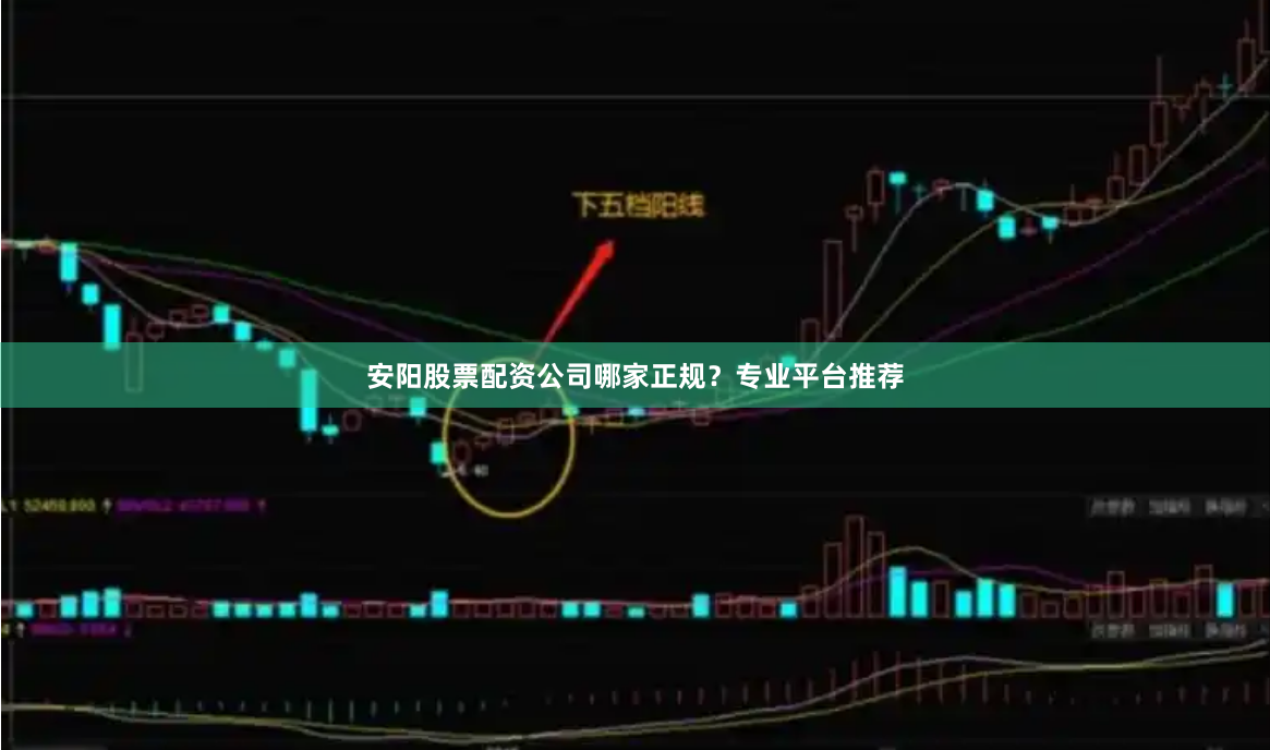 安阳股票配资公司哪家正规？专业平台推荐